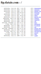 Mobile Screenshot of ftp.dataio.com